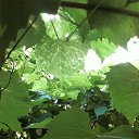 ���� ������, ������ - ��������� 19 ������� 2014 � ������ ���� ����������