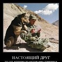  ,  -  13  2015    