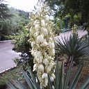 ����-���������! �� ������� ������ ��������