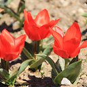  , , 60  -  13  2015      11.04.15.