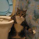 ���� ������, ������-���, 62 ���� - ��������� 15 ������ 2015 � ������ ������ ��������