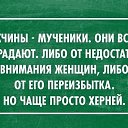 ���� �������, ������ - ��������� 11 ������ 2015 � ������ ������ ��������