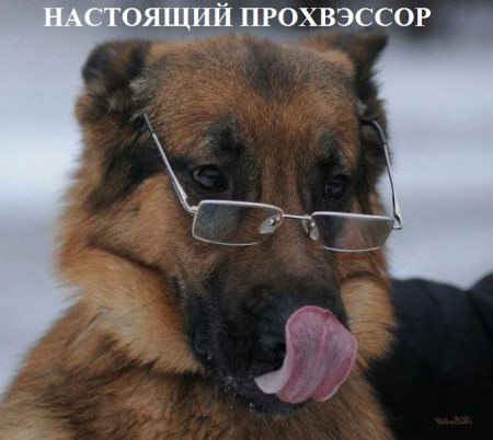 Семь признаков психически здорового мужчины. 1. Тонкое чувство юмора. То есть не смех от живота над ...