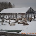 ���� ���������, �������-�����, 50 ��� - ��������� 6 ������� 2015 � ������ ������� �����-2015�