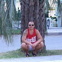 ���� �����, ���� - ��������� 31 ������ 2015