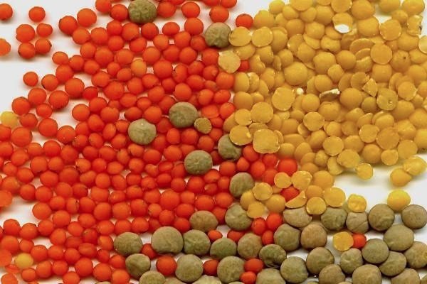 .        .   200   ... - 5