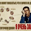 ���� ������, ������, 52 ���� - ��������� 24 ������� 2014 � ������ ������� ��������