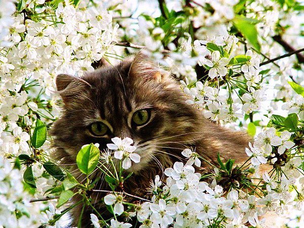 K K - 16  2014  16:48