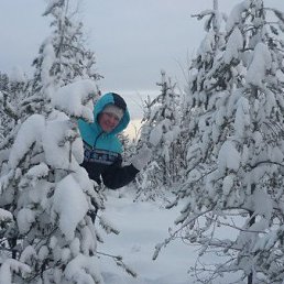 �����, �����������