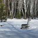 ���� ��������, ����, 76 ��� - ��������� 17 ������ 2015 � ������ ������� �������