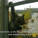 ���� ��������� (Super Star), �������� - ��������� 17 ������ 2015 � ������ ������ ��������