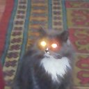 ���� ��������, �����������, 56 ��� - ��������� 4 ������ 2015 � ������ ���� ����������