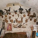 ���� ������, ������, 58 ��� - ��������� 22 ������� 2015 � ������ ���� �����