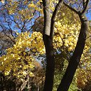 ������� ������ �������....... �� ������� ���� ����������