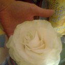 ���� ����, ������������, 36 ��� - ��������� 16 ������� 2014 � ������ ������ ��������