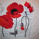 ������� ������ "���� ����" �� ������ �� ������� ��� �����