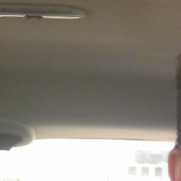 �������, ������, 43 ����