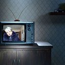 ���� �����, �����, 73 ���� - ��������� 29 ������ 2015 � ������ ������ - ������ �����������