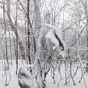���� Valka, ������, 63 ���� - ��������� 30 ������ 2015 � ������ ���� ����������