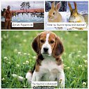 ���� �����, ������, 37 ��� - ��������� 31 ������� 2014 � ������ ������ ��������