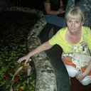 ���� ��������, �����������, 61 ��� - ��������� 4 ������� 2015