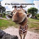 ���� ������, ������, 46 ��� - ��������� 20 ������� 2014 � ������ ������ ��������