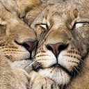 ���� ��� - B, ���������� - ��������� 30 ����� 2015 � ������ ������ ��������