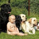 ���� ���������, �������, 80 ��� - ��������� 18 ������� 2015 � ������ ������ ��������