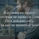 ���� �k, �������� - ��������� 5 ������� 2015 � ������ ���� ����������