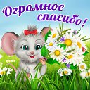 ���� Maria, ������� - ��������� 16 ������� 2015 � ������ �������� ��������