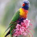 ���� ����, ������ - ��������� 18 ������� 2014 � ������ ���� ����������