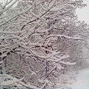 ���� Yogdao, ������, 66 ��� - ��������� 12 ������ 2015 � ������ ���� ����������