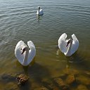 ���� ������, ���������, 42 ���� - ��������� 24 ������ 2015 � ������ �XXX�