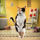 ���� Timur, ������, 55 ��� - ��������� 19 ������� 2015 � ������ ���� ����������