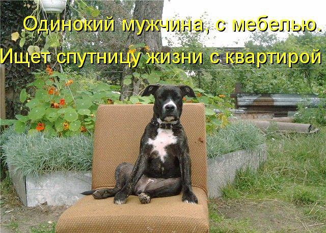   - 12  2015  20:03