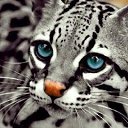 ���� ����, ������, 23 ���� - ��������� 13 ������ 2015 � ������ ������