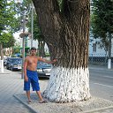 ���� ���������, ������������, 46 ��� - ��������� 24 ������� 2015