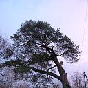 ���� ���, �����-��������� - ��������� 17 ������� 2014 � ������ ������������..�