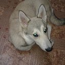 ���� �����, ������, 52 ���� - ��������� 7 ������� 2015 � ������ ���� ,,�����,,�