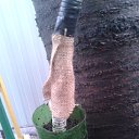 15. ������ ������� � ����� ��� ���������� ������ ������. ���������� ������ ���������, ����� ����� �������� �� ����� � �������. �� ������� ���������� ������: "������ ���������? ��������)))"�