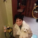 8.02.15.� � ������ � ���� �� ������� ���� ����������