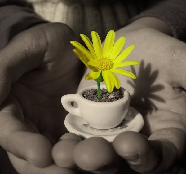 ����� ������� ��������� ���, ��� �� ��������� �������� ������ �������� ����� �������. - ����! ��� ...