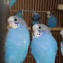 ���� �������, �����-���������, 67 ��� - ��������� 26 ������ 2015 � ������ ���� ����������