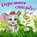 ���� ����, �����-���������, 61 ��� - ��������� 24 ����� 2015 � ������ �������� ��������