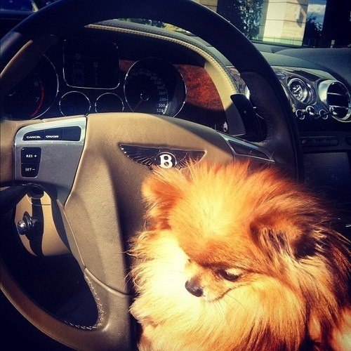   |  |  - 11  2015  15:20 - 4