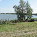 ���� �������, ���������, 65 ��� - ��������� 8 ������ 2015 � ������ ���� ����������