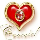 ���� ����, ������, 54 ���� - ��������� 15 ����� 2015 � ������ �������� ��������