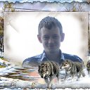 ���� ����, ������������, 41 ��� - ��������� 2 ������ 2015 � ������ ������ ��������