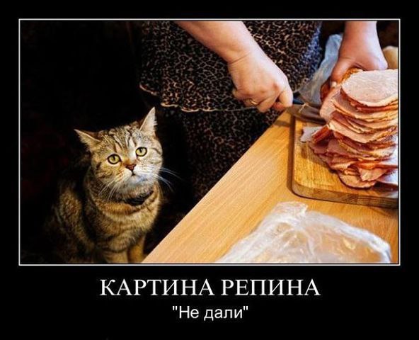 ������������ ���� - 21 ������ 2015 � 22:35