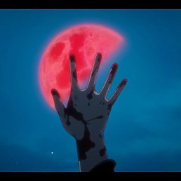 ���� �og��u�, ������ - ��������� 7 ������ 2015